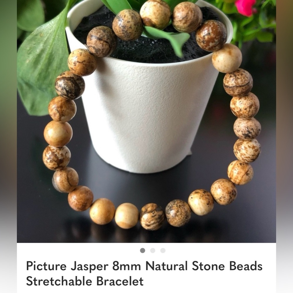 Natural Stone Picture Jasper Beaded Bracelet